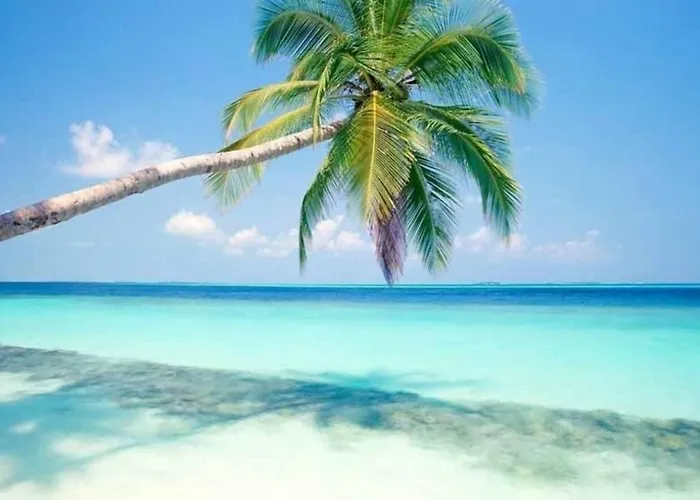 Spacious 3br 3 Pools Gym 500mb Wifi Parking Hébergement de vacances *